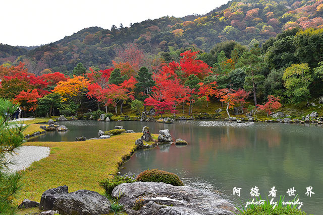 京都3D810 139.JPG