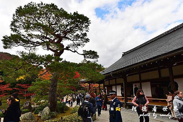 京都3D810 144.JPG