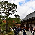 京都3D810 144.JPG