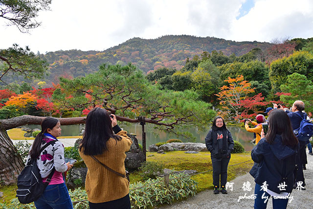 京都3D810 140.JPG