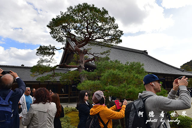 京都3D810 138.JPG