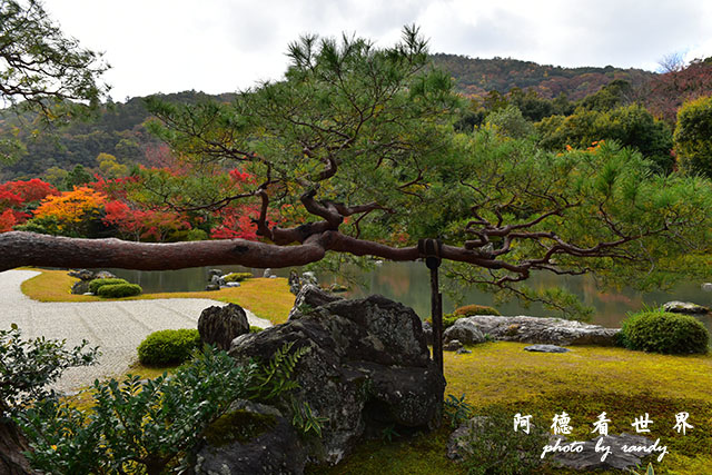 京都3D810 147.JPG