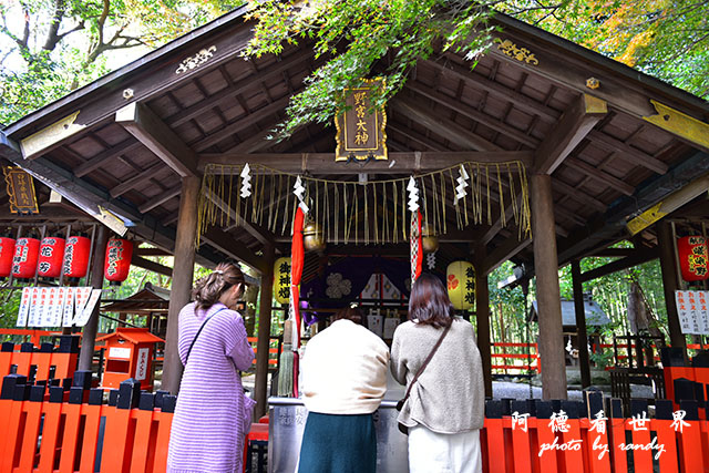 京都3D810 181.JPG