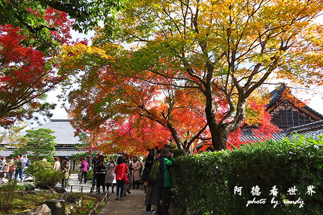 京都3SX740 077.JPG