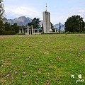 stellenbosch2D7000 094.JPG