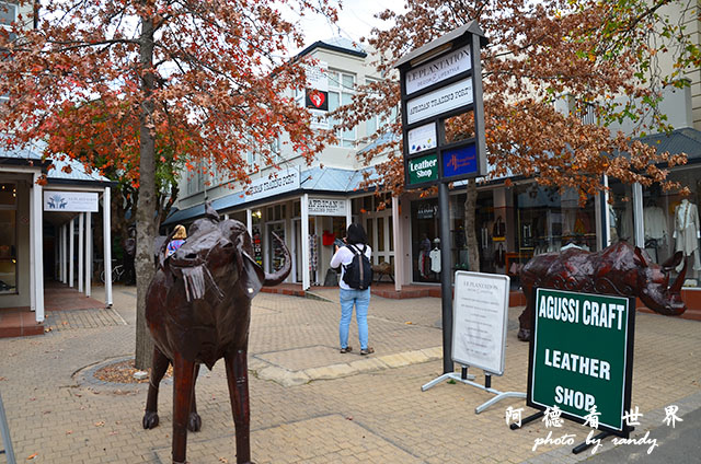 stellenbosch2D7000 171.JPG