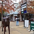 stellenbosch2D7000 171.JPG