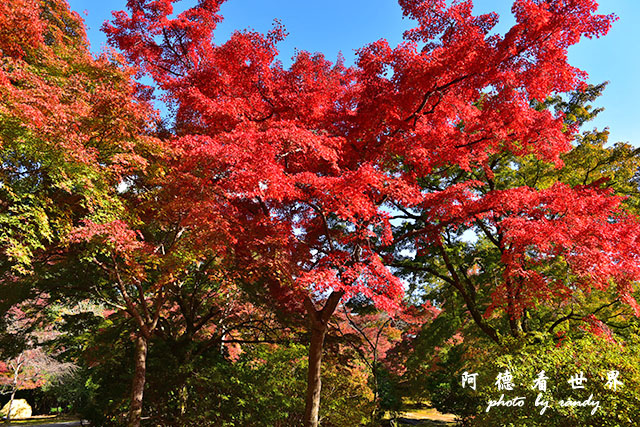 京都3D810 231.JPG