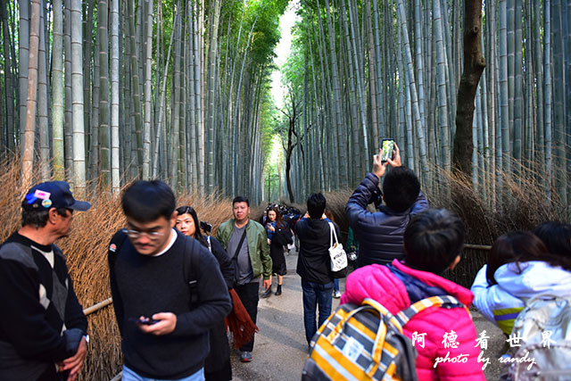 京都3D810 239.JPG