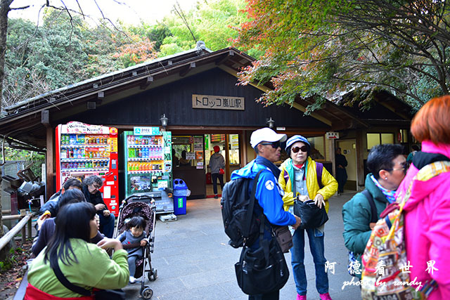 京都3D810 242.JPG