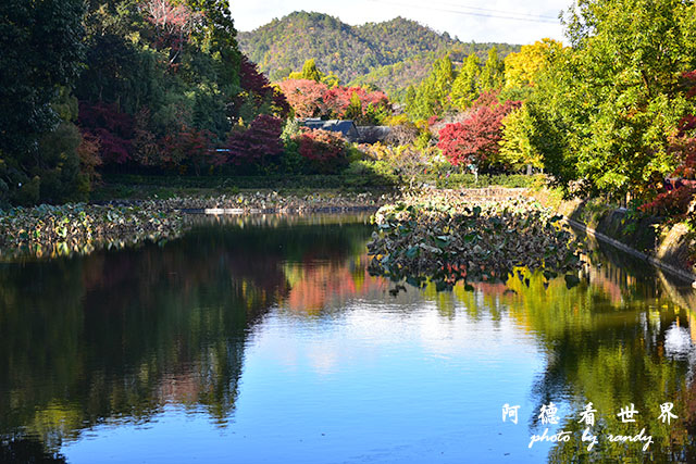 京都3D810 249.JPG