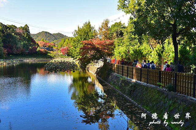 京都3D810 243.JPG