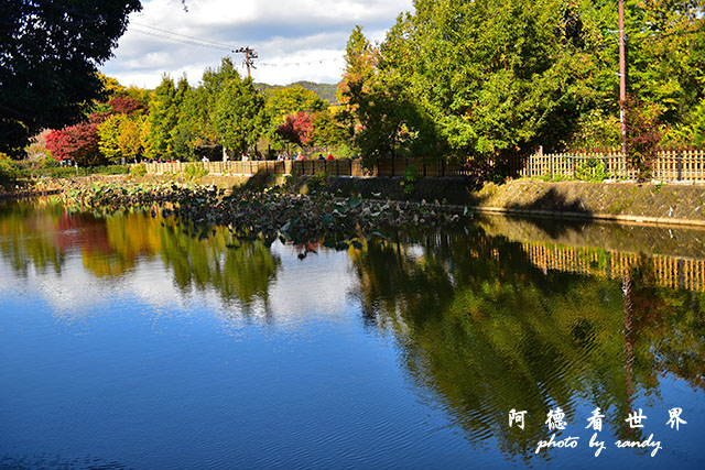 京都3D810 246.JPG