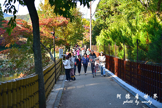 京都3D810 250.JPG