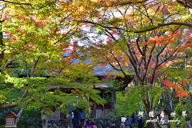 京都3D810 266.JPG