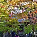 京都3D810 266.JPG