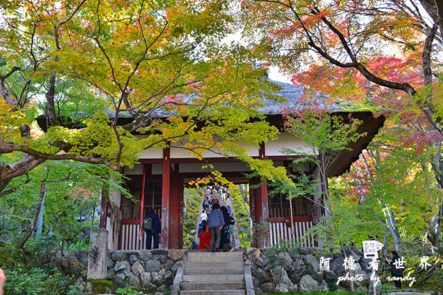 京都3D810 268.JPG