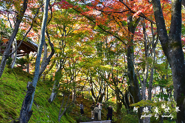 京都3D810 275.JPG