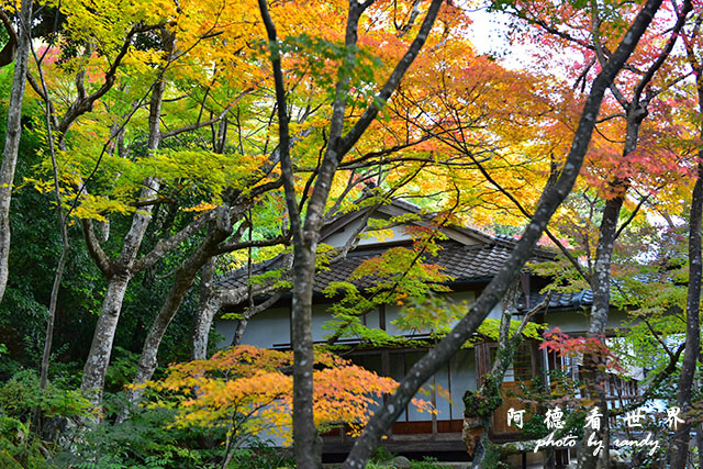 京都3D810 281.JPG