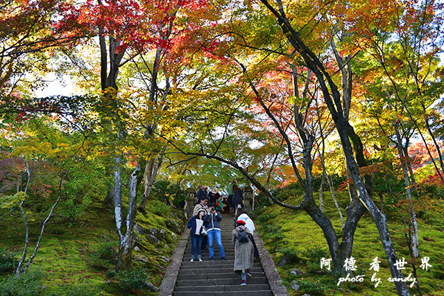 京都3D810 274.JPG