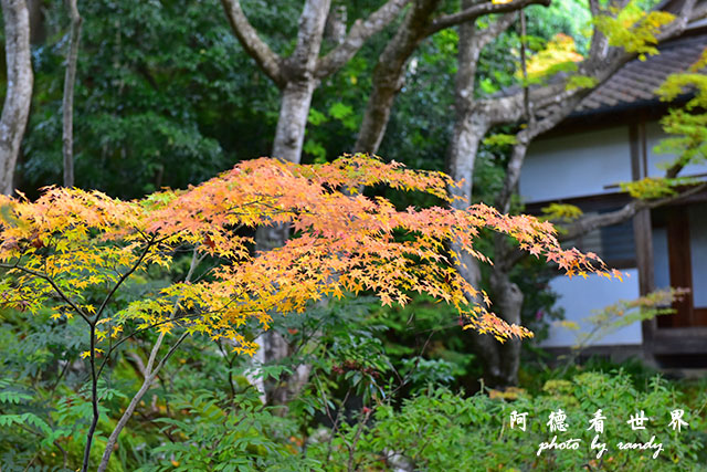 京都3D810 283.JPG