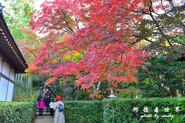 京都3D810 280.JPG