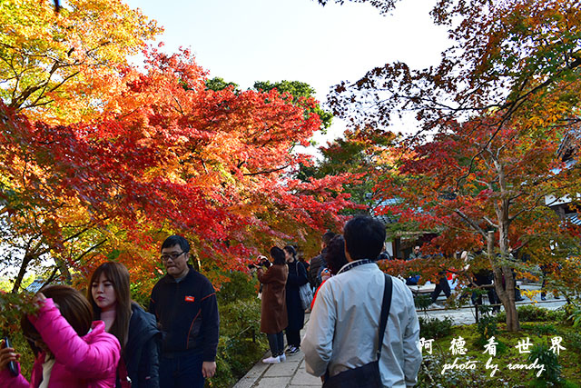 京都3D810 276.JPG