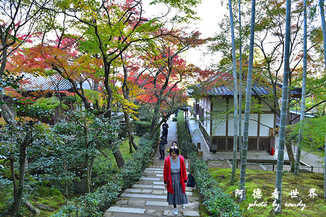 京都3D810 287.JPG