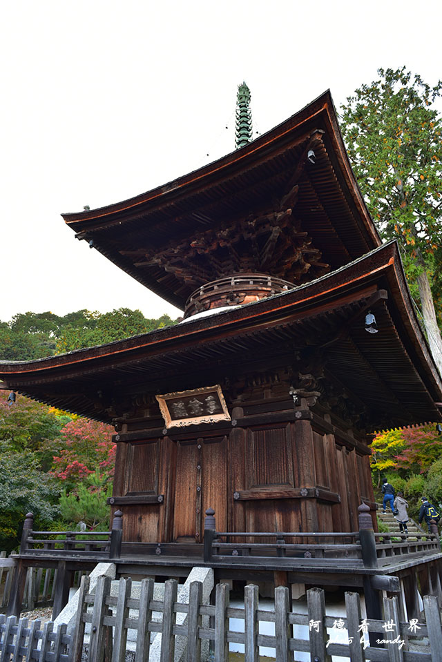 京都3D810 299.JPG