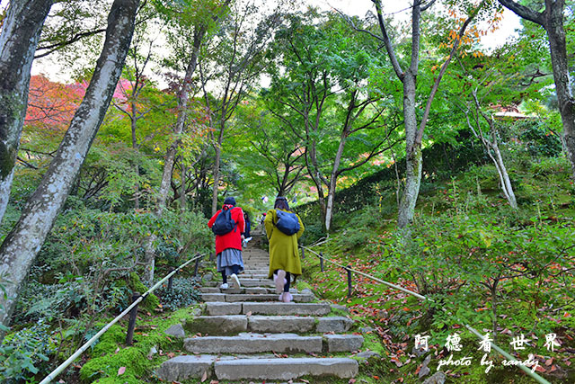 京都3D810 291.JPG