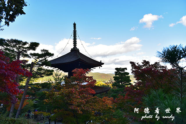 京都3D810 294.JPG