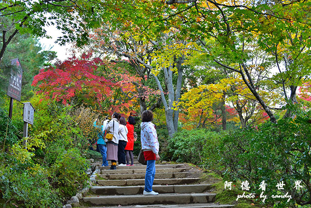 京都3D810 290.JPG