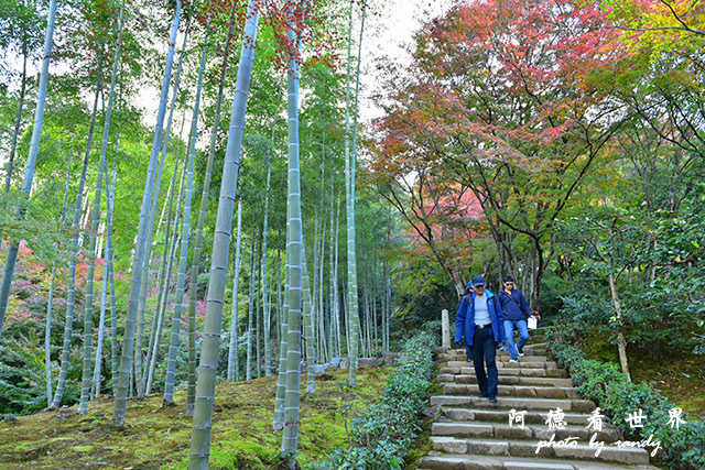 京都3D810 284.JPG