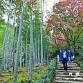 京都3D810 284.JPG