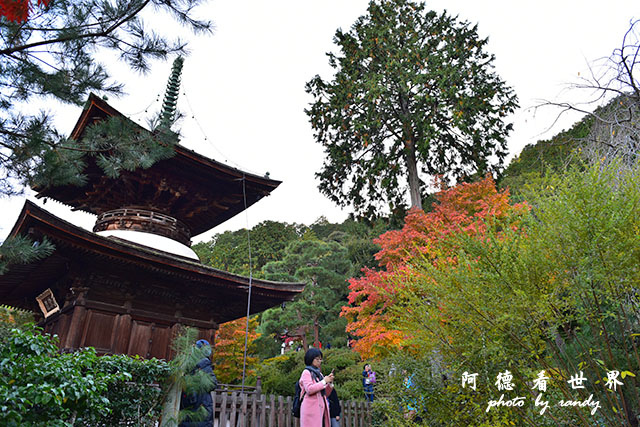 京都3D810 301.JPG