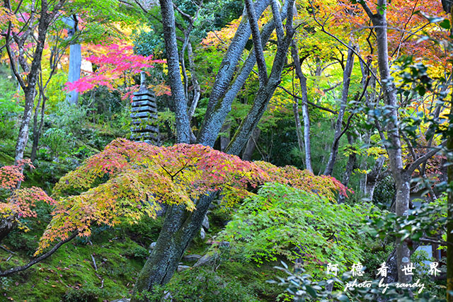 京都3D810 313.JPG