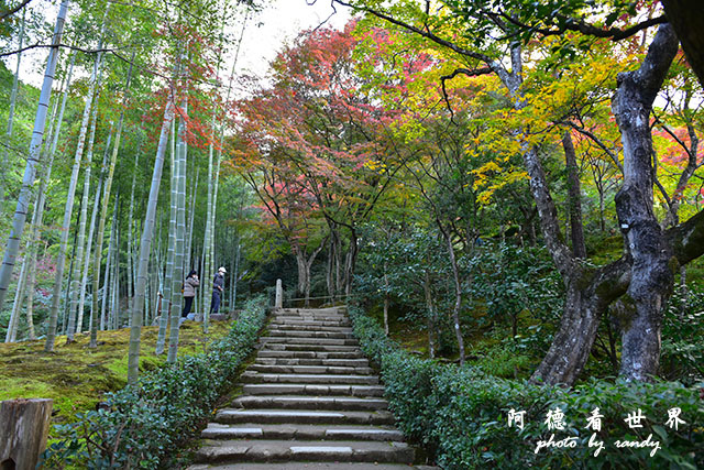 京都3D810 312.JPG