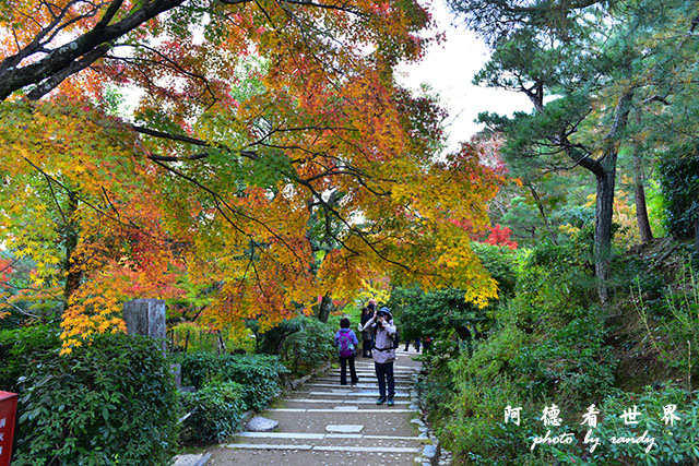 京都3D810 303.JPG