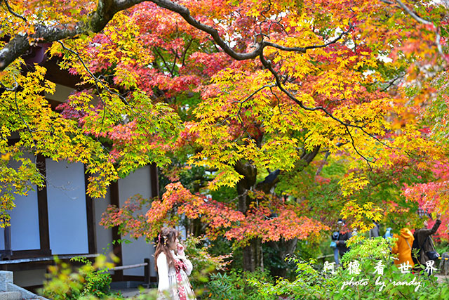 京都3D810 319.JPG