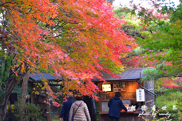 京都3D810 326.JPG