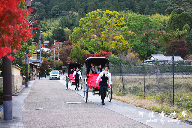 京都3D810 335.JPG