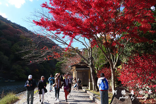 京都3SX740 158.JPG