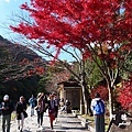 京都3SX740 158.JPG