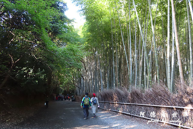 京都3SX740 192.JPG