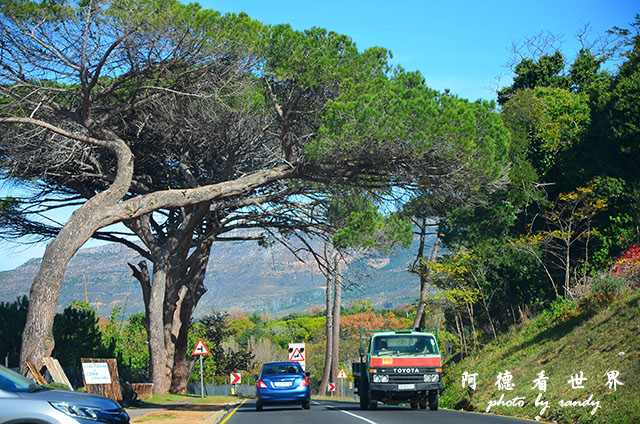 simonstown1D7000 243.JPG