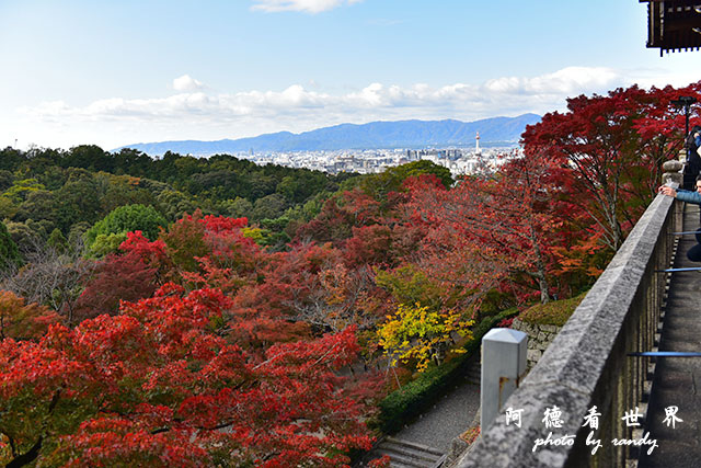 京都4D810 070.JPG