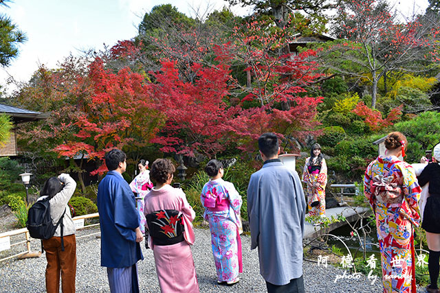 京都4D810 191.JPG