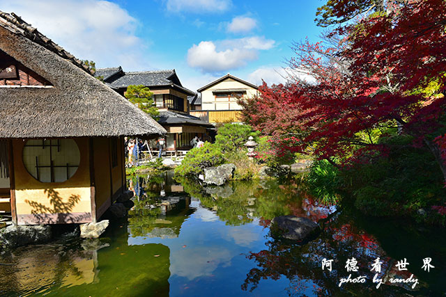 京都4D810 195.JPG