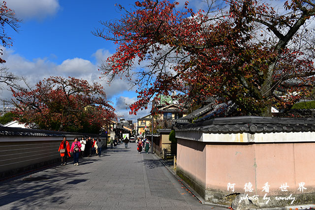 京都4D810 213.JPG