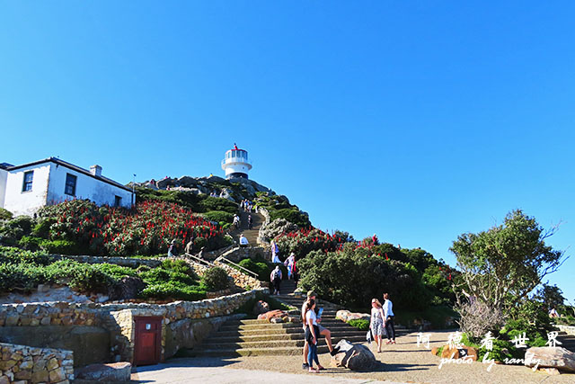 simonstown2SX740 102.JPG